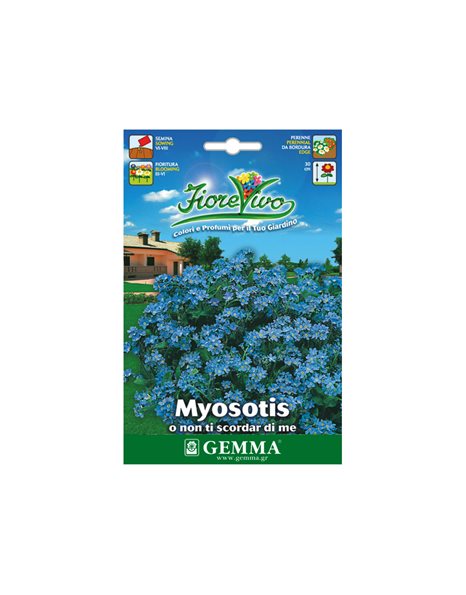"Myosotis" 