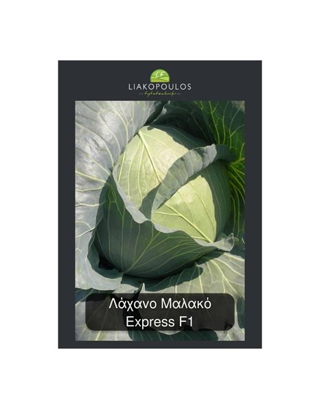 Σπόροι Λάχανο Μαλακό - Express