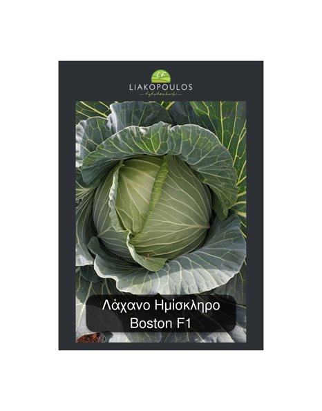 Σπόροι Λάχανο Ημίσκληρο - Boston