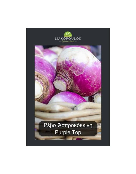 Σπόροι Ρέβα Ασπροκόκκινη - Purple Top