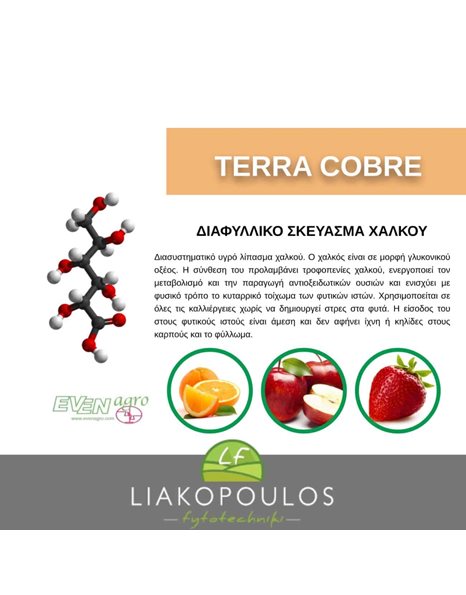 ΧΑΛΚΟΣ TERRA COBRE (ΥΓΡΟΣ) | 250 ml