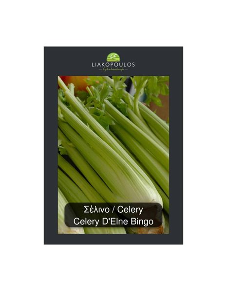 Σπόροι Σέλερι - Celery D'Elne Bingo